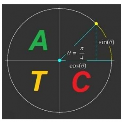 Advanced-Trigonometry-Calculator