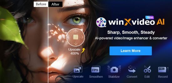 Winxvideo AI